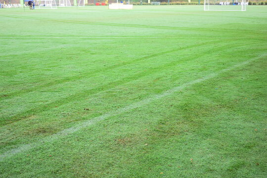 green grass background, exterior design