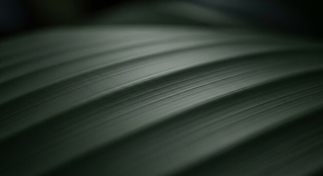 Detailed close-up macro abstract of green plant leaf surface veins and lines