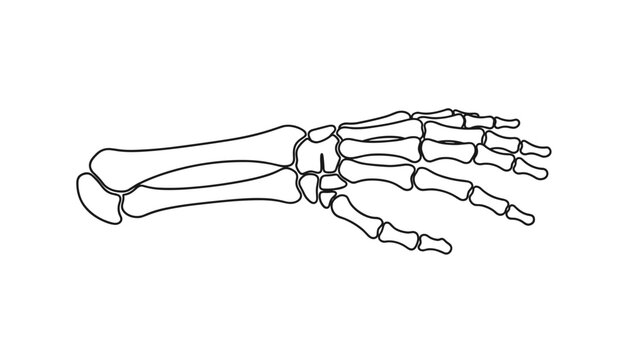 Black outline medical illustration of human hand and forearm skeleton bones isolated on a plain white background.