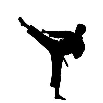 Man performing karate high kick silhouette