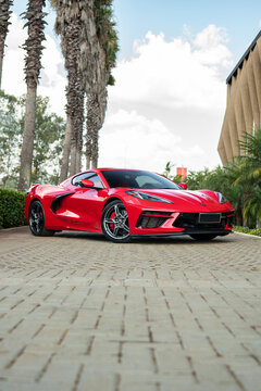 Red Chevrolet Corvette C8 Sports Car Parked Outdoors near Palm Trees