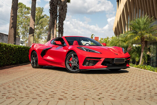 Red Chevrolet Corvette C8 Coupe Parked Outside Near Palm Trees and Modern Architecture