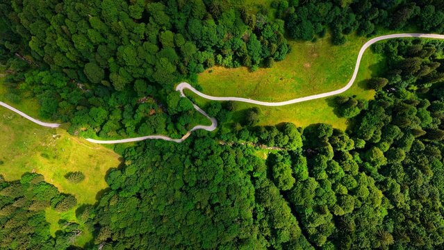 Winding Mountain Road Through Lush Swiss Forest From Above