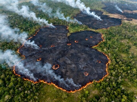 Rainforest Fire Disaster with Dense Smoke and Burning Trees, Wildfire in Tropical Forest, Environmental Crisis, Deforestation, Climate Change and Emergency Response Concept