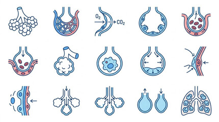 Fototapeta premium Colorful Medical and Scientific Organ Illustrations Collection.