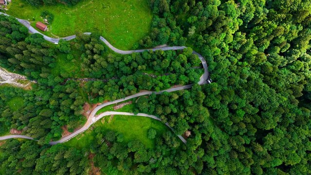 Winding Alpine Roads Through Lush Forest in Switzerland