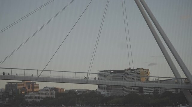 The cables of a the Neville Bonner pedestrian bridge fan out in silhouette against the dusk sky above the Brisbane River.