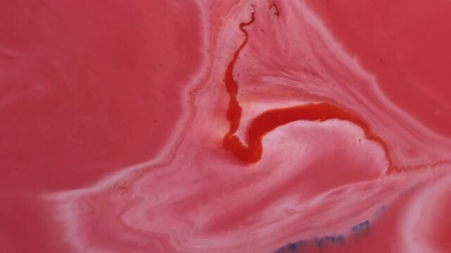 Dye spreading. Ink splash. Red pigment spatter on white art liquid. Spill dissolve bright color opener effect abstract background.