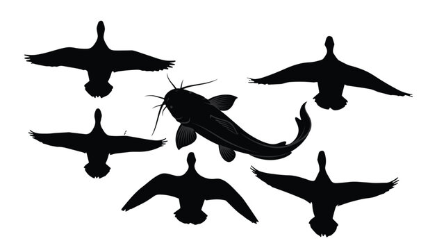 Black silhouette vector set of flying wild ducks and detailed catfish isolated on a white background