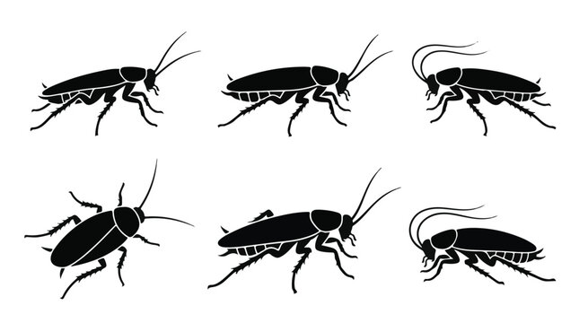 Set of six cockroach silhouettes in various poses for pest control and insect icons
