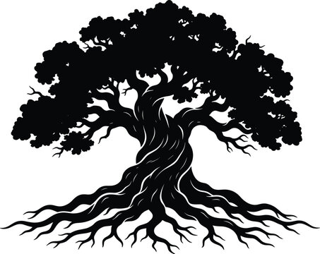 Black silhouette of a majestic oak tree with deep roots and gnarled trunk isolated on white background