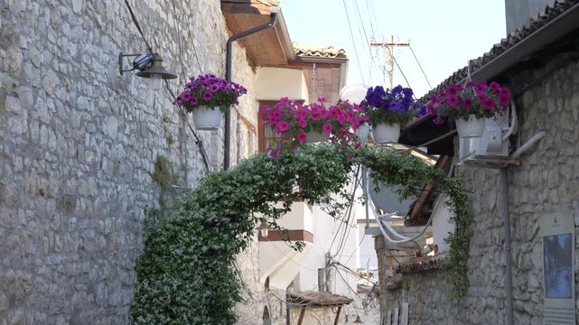 Narrow stone alley with petunias geraniums and a climbing vine in Berat Albania