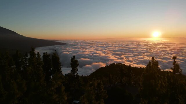 Sunset over pine forest and sea of clouds from mountain viewpoint in Tenerife