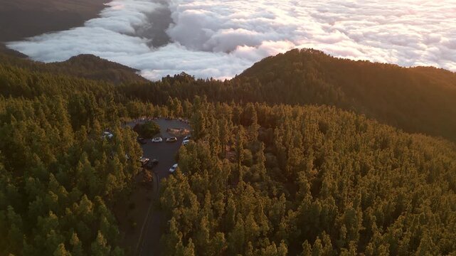 Aerial view of pine forest, mountain, and clouds at sunrise near a scenic viewpoint