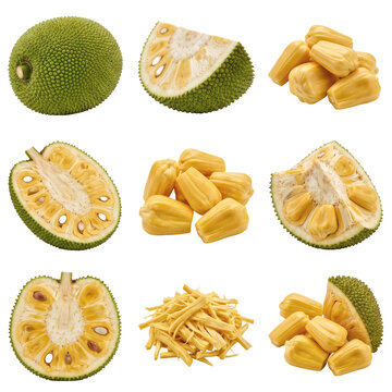 Fresh ripe jackfruit collection featuring whole fruit, slices, and sweet yellow pulps on transparent background, ideal for tropical food and vegan meat alternative designs.
