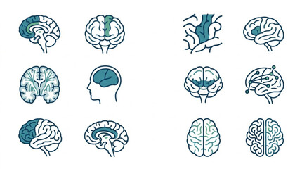 Detailed collection of human brain illustrations in various styles. © kam