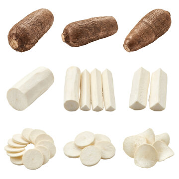 Collection of fresh cassava root variations including whole, peeled, sticks, and sliced rounds, isolated on a transparent background for food design.