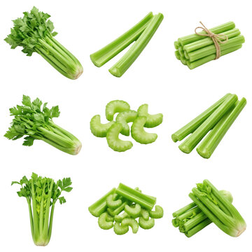Fresh Green Celery Stalks Collection Featuring Whole Bunches Sliced Pieces and Bundles with Twine for Healthy Cooking and Diet Nutrition Isolated on Transparent Background