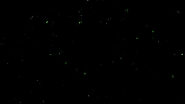 Digital Green Rain Code Overlay With Static Particles On Black Background For Tech Motion Graphics
