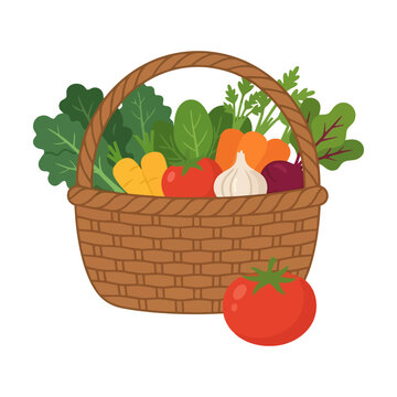 Wicker basket filled with fresh colorful vegetables and green leafy salad greens Vector