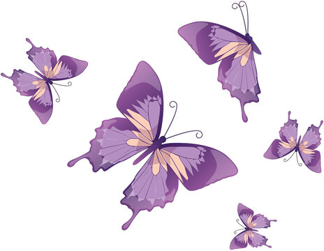 set of butterflies