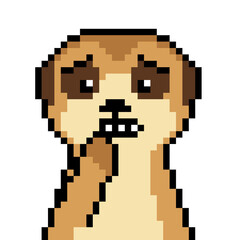 Naklejka premium Worried nervous meerkat face pixel art illustration biting hand