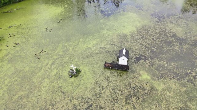 The Center of a Swamp B