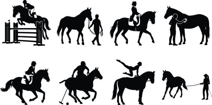 Set of black silhouettes showing equestrian activities including show jumping, dressage, polo, and horse grooming on a white background