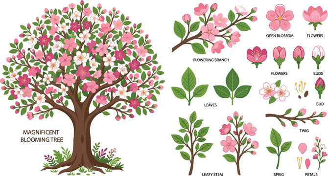 Magnificent Blooming Cherry Blossom Tree Vector Set with Separate Flowering Branches Leaves Buds and Petals for Spring Season Botanical Graphic Designs