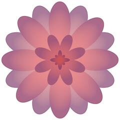 Fototapeta premium Pink and Purple Layered Flower Illustration with Soft Gradient Petals