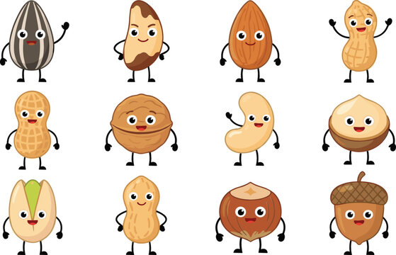 Cute nuts and seeds cartoon character set featuring almond peanut walnut cashew hazelnut pistachio and acorn