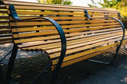 bench in the park