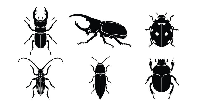 Collection of black insect silhouettes a vector illustration on white