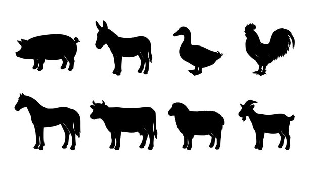 Farm animal silhouette collection with pig donkey duck rooster horse cow sheep and goat