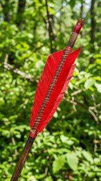 Close up of a red fletched arrow in a forest setting.