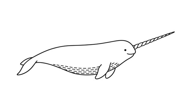 Cute narwhal whale drawing with a long tusk or horn in simple black outline vector illustration on a white background.