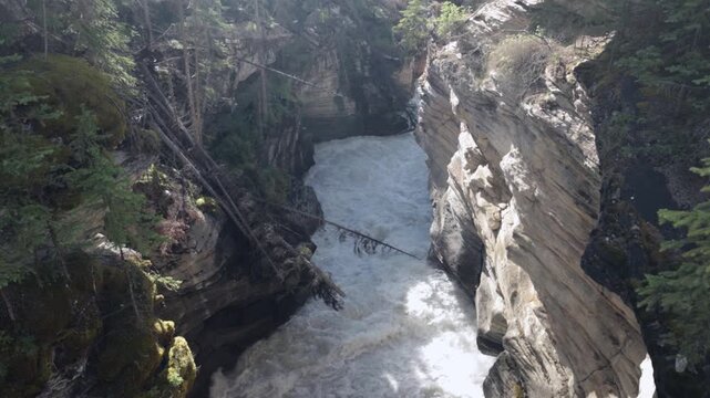 The camera pans upward through a narrow Athabasca Falls gorge, revealing layered rock walls, mossy ledges, a fallen tree above the channel, and fast whitewater pushing through the tight passage in Jas