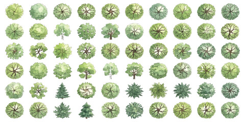 Fototapeta premium Set of various flat green and grey tree icons for landscape design architectural plan view and site mapping