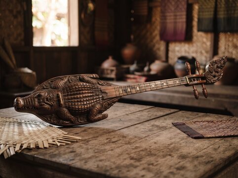 Cambodian crocodile lute