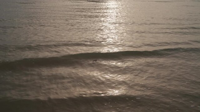 Golden hour tropical sea landscape with soft waves and islands silhouette.