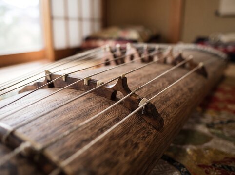 Japanese Koto Instrument