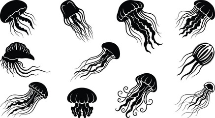 Jellyfish silhouette collection illustration, marine invertebrates and ocean wildlife species, underwater nature graphics bundle © Creative Vector Work