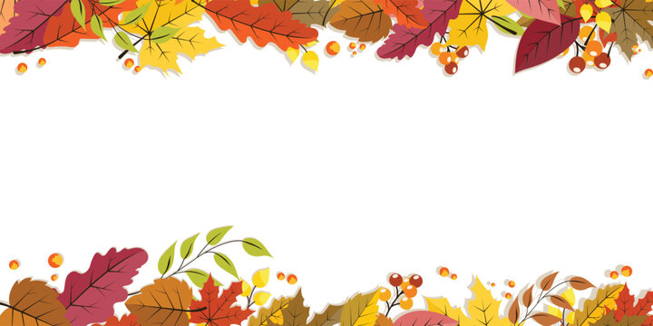 Autumn leaves frame background vector with colorful maple, oak foliage, berries, and central copy space for Thanksgiving card presentation.