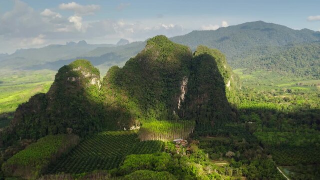 KHAO SOK National Park's lush tropical landscape with towering limestone karst mountains, dense green rainforest, and agricultural palm oil plantations under a dramatic sky. Aerial view panorama