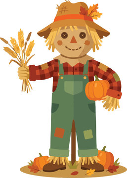 Cute cartoon scarecrow holding pumpkin and ears of wheat wearing overalls and hat for autumn harvest. Thanksgiving mascot vector character for print isolated on White Background thanksgiving