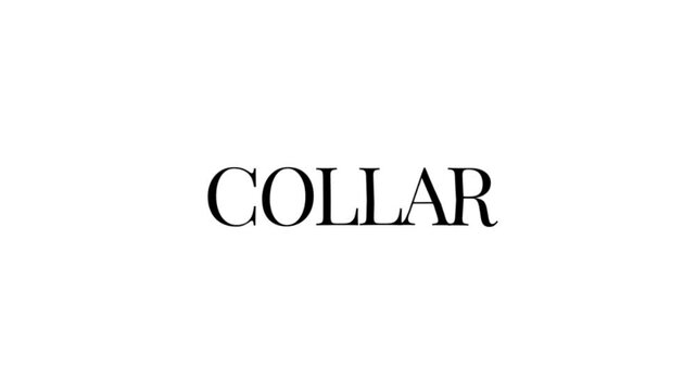 A refined black Collar message on a bright white background, evoking fashion, clothing, tailoring, formalwear, shirts, and elegant garment details.