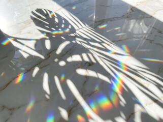 Obraz premium Aesthetic composition of prismatic rainbow light and leaf shadows on a polished white marble floor