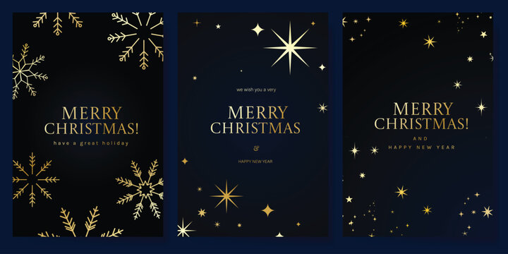 Navy blue Christmas and Happy New Year card vector. Winter Star ,Night  sky, leaves branch, snow flake with gold foil texture on white background. Illustration for cover, print, poster, invitation.