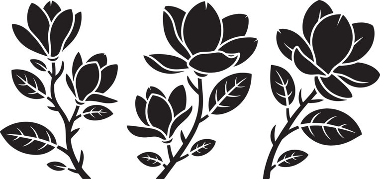 Black silhouette of magnolia flowers and leaves, botanical illustration, nature design.