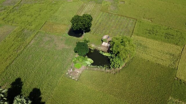 Image of arable land taken with a drone.